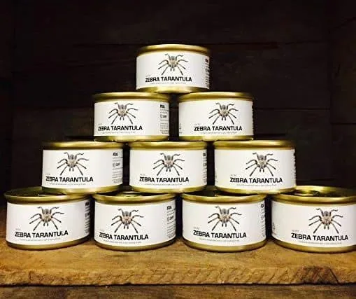 17849 misting tarantula enclosure