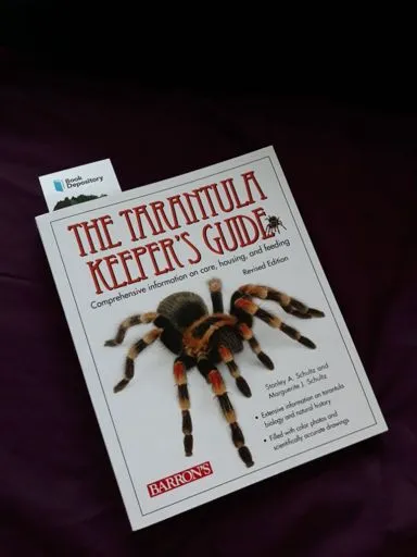 /img/17856-tarantula-enclosure.webp