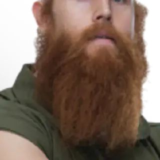 /img/17858-erick-rowan-tarantula-legacy.webp