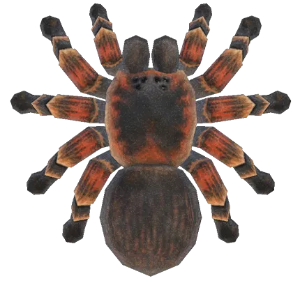 17859 acnh tarantula spawn