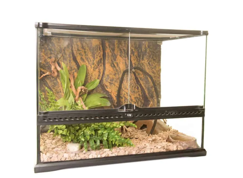 17863 tarantula enclosure substrate