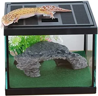 17863 tarantula enclosure ventilation
