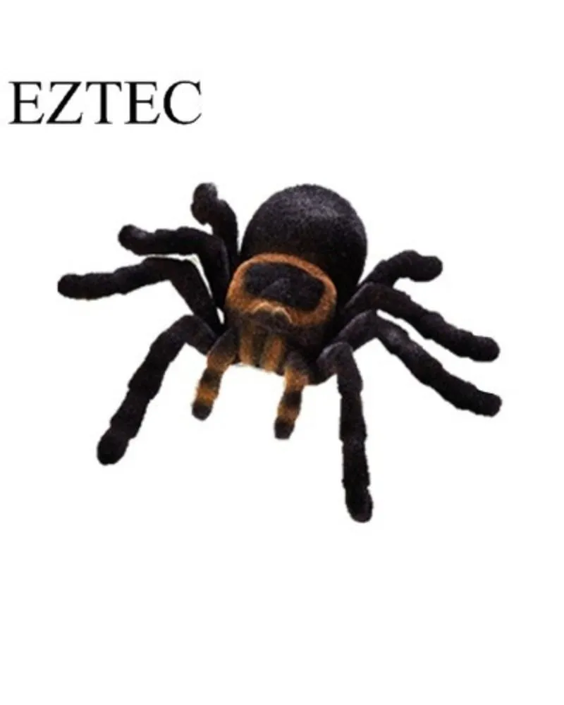 /img/17866-rc-tarantula-details.webp