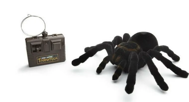 17866 rc tarantula receiver