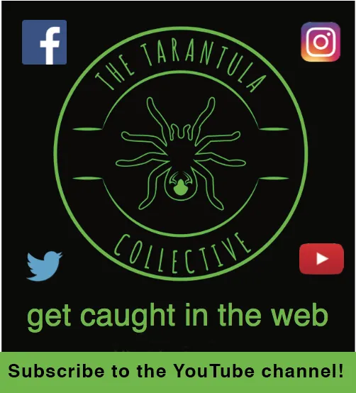 17882 tarantula enclosure substrate