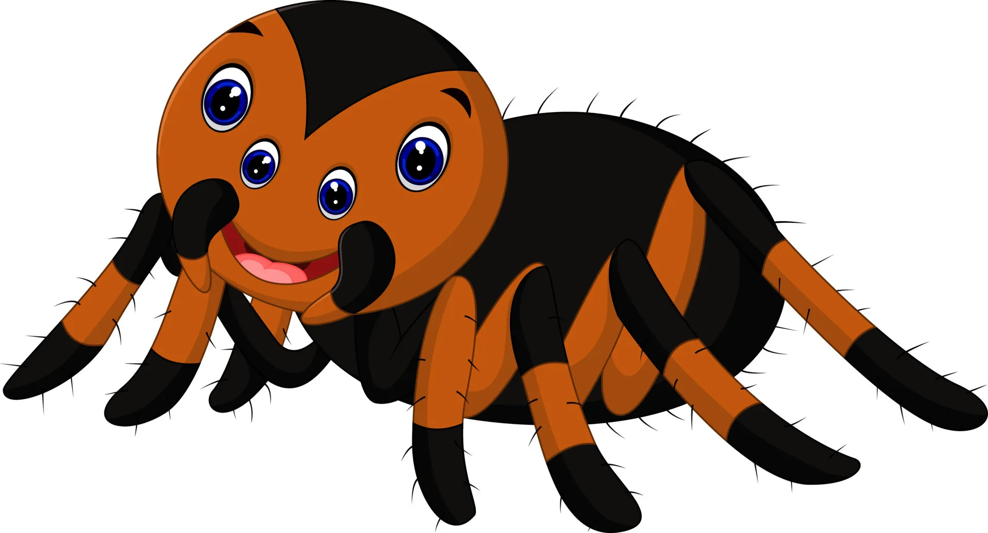 17895 baby tarantula cartoon personality