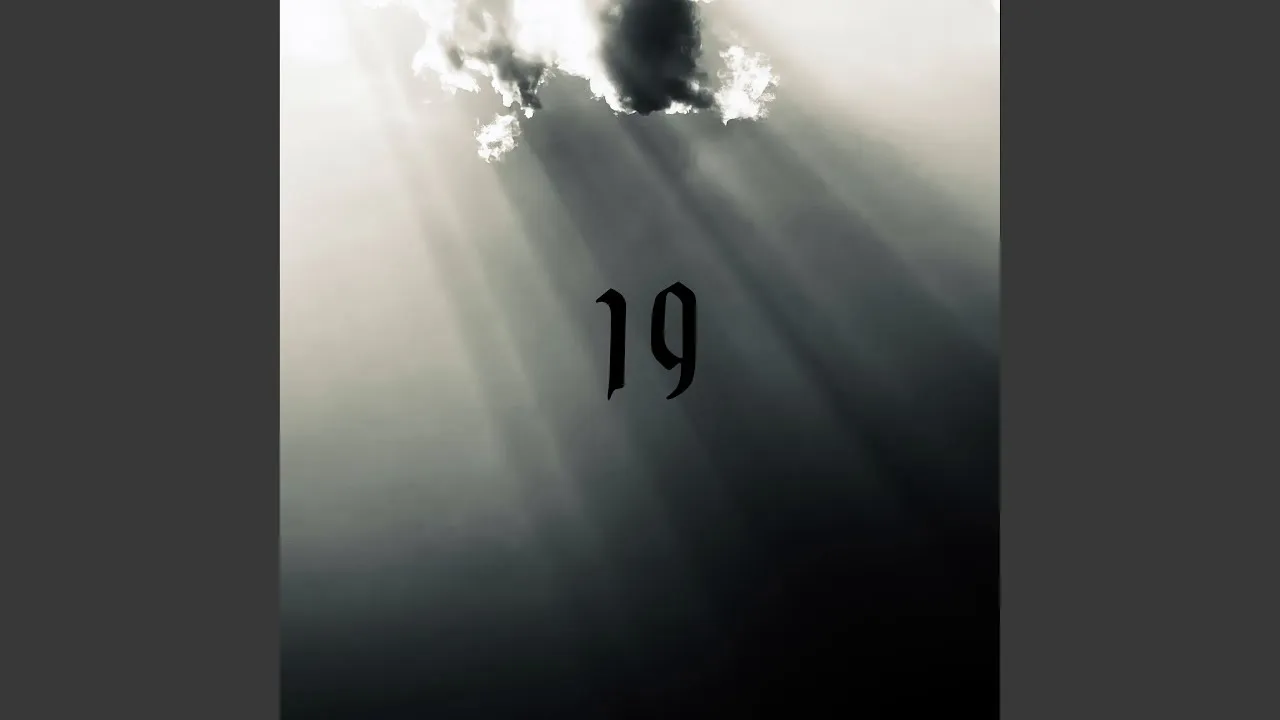 17896 tarantula hawk close up