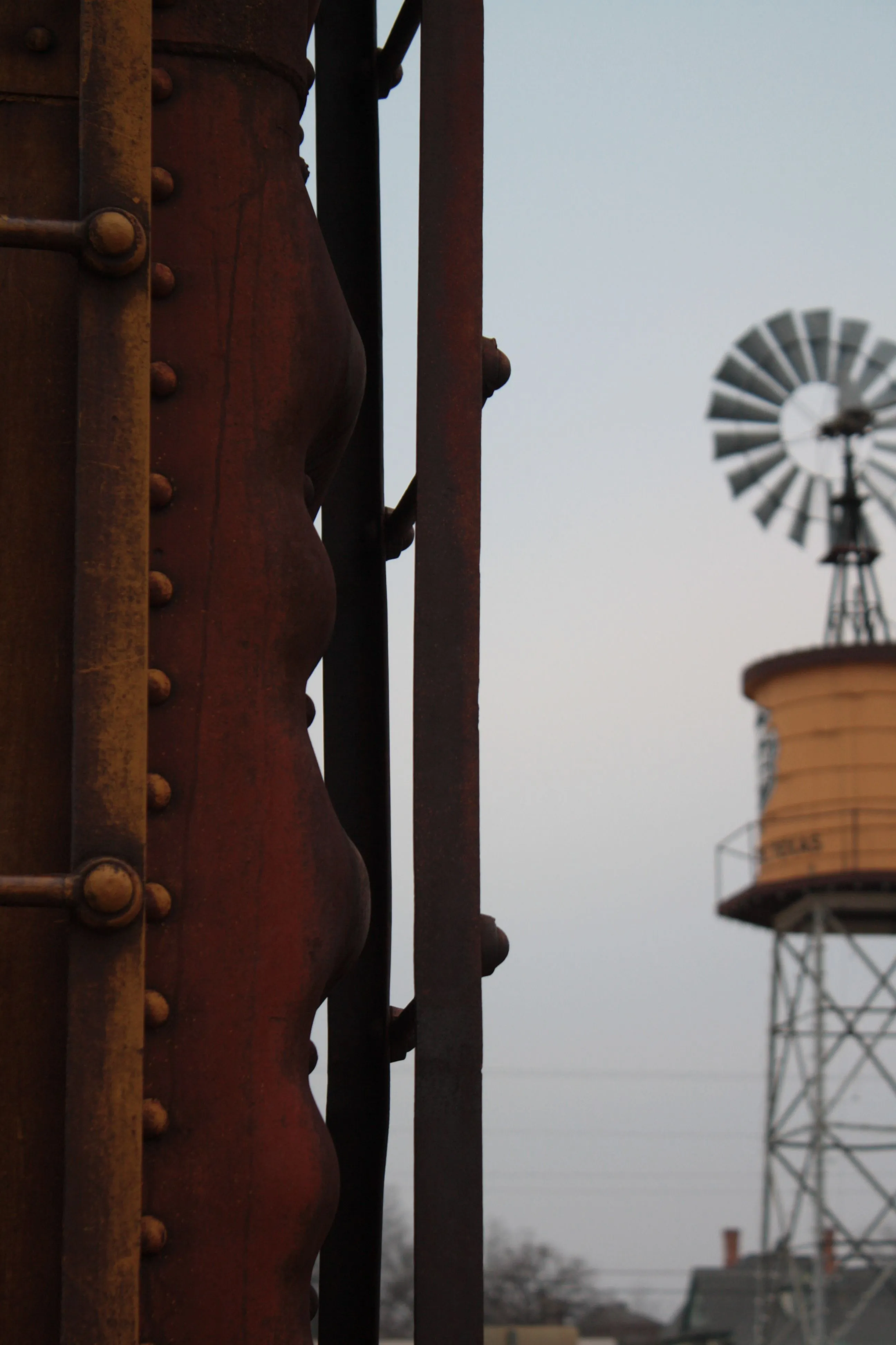 17906 tarantula train special events