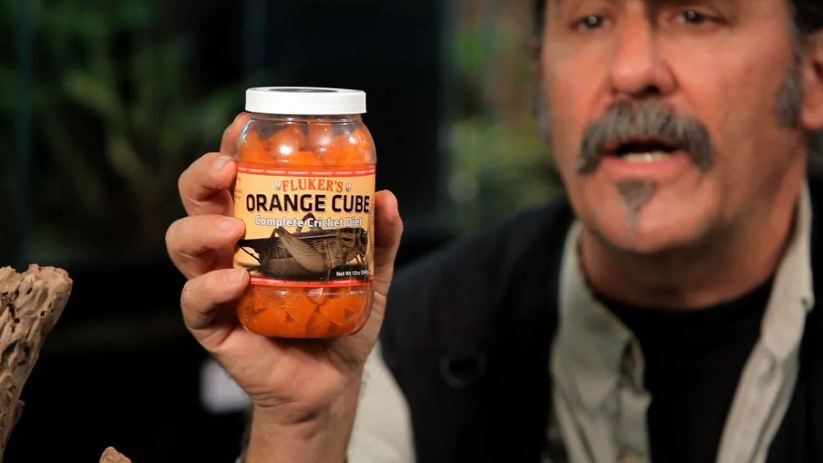 17912 tarantula water dish