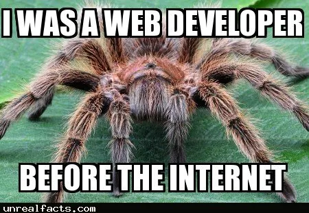 17913 tarantula handling