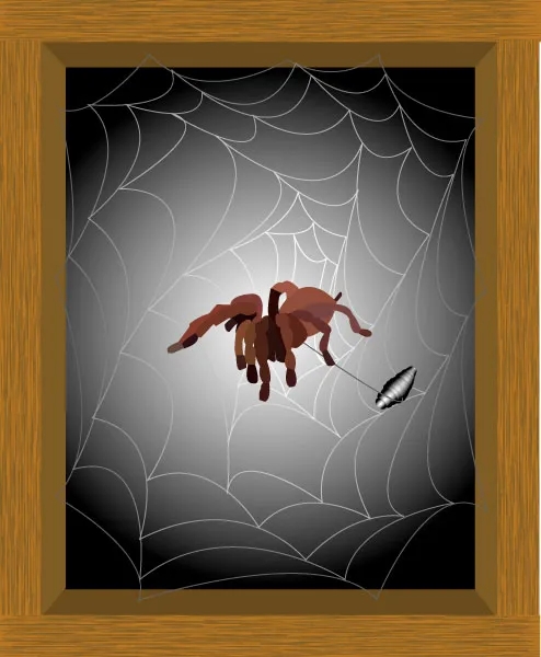 17914 tarantula windows installation