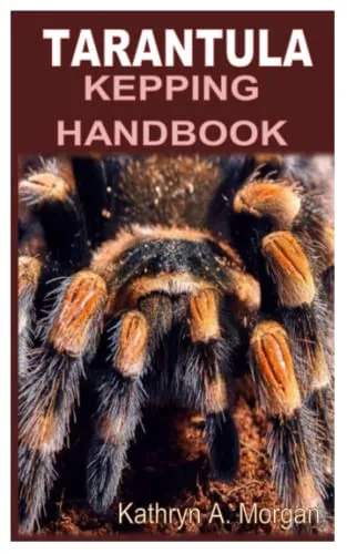 /img/17917-tarantula-handling-safety.webp