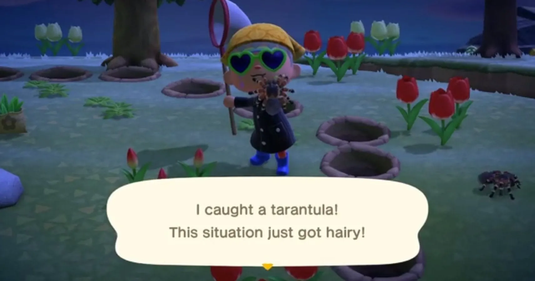 17922 animal crossing tarantula inventory