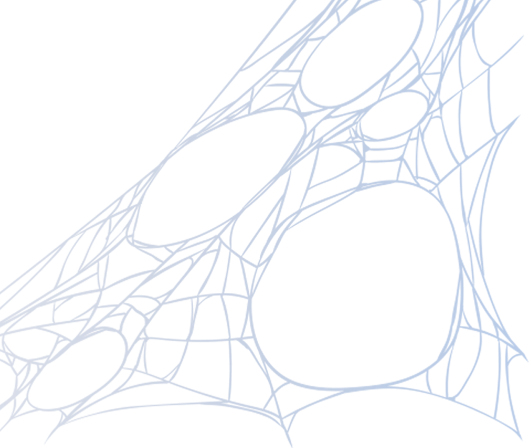 17923 tarantula tool features