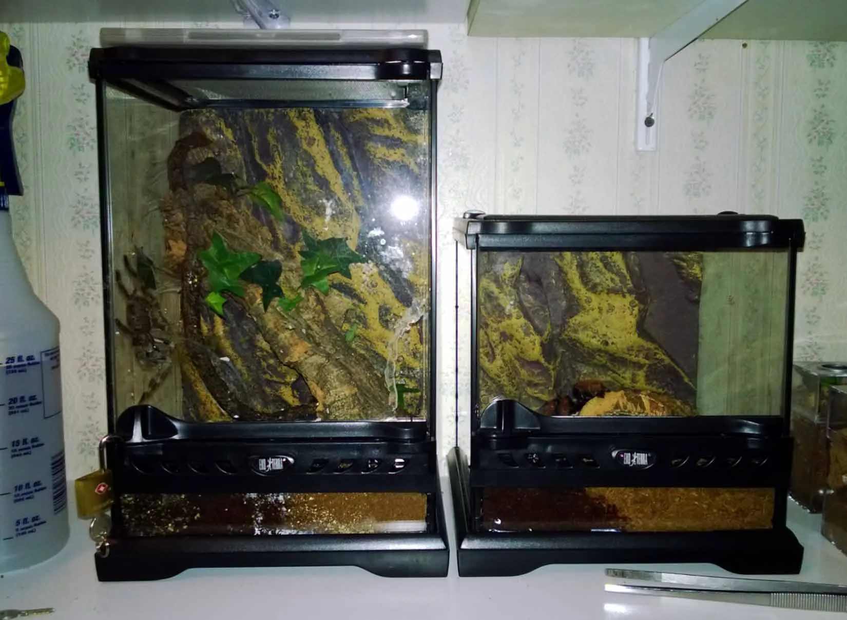 17926 tarantula enclosure substrate
