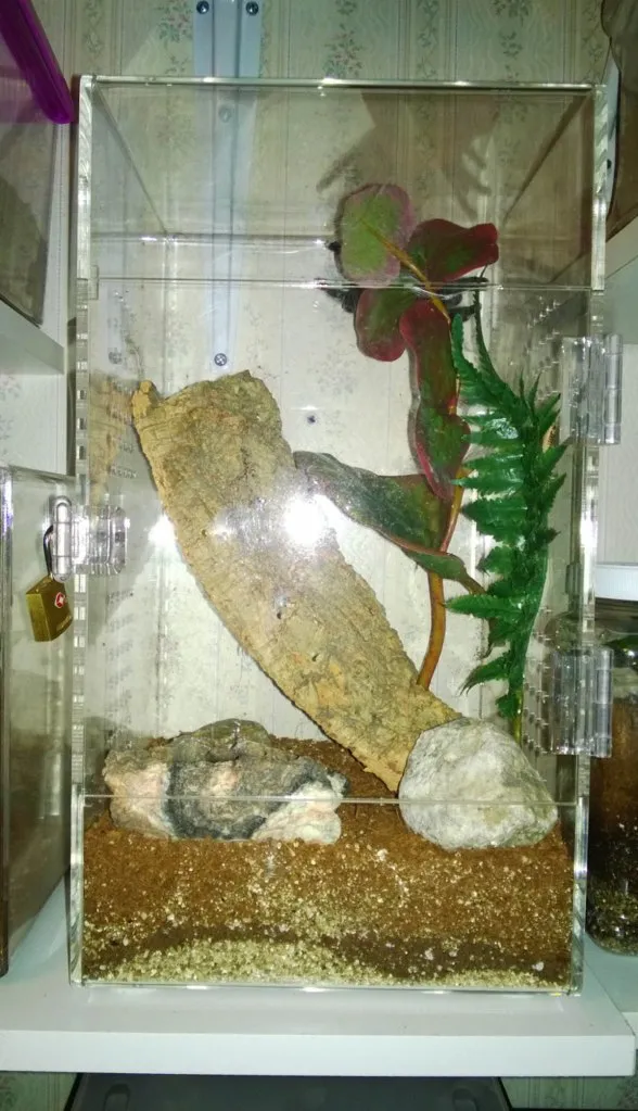 17926 tarantula enclosure ventilation