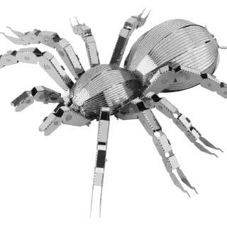 /img/17929-metallic-tarantula-pet-store.webp