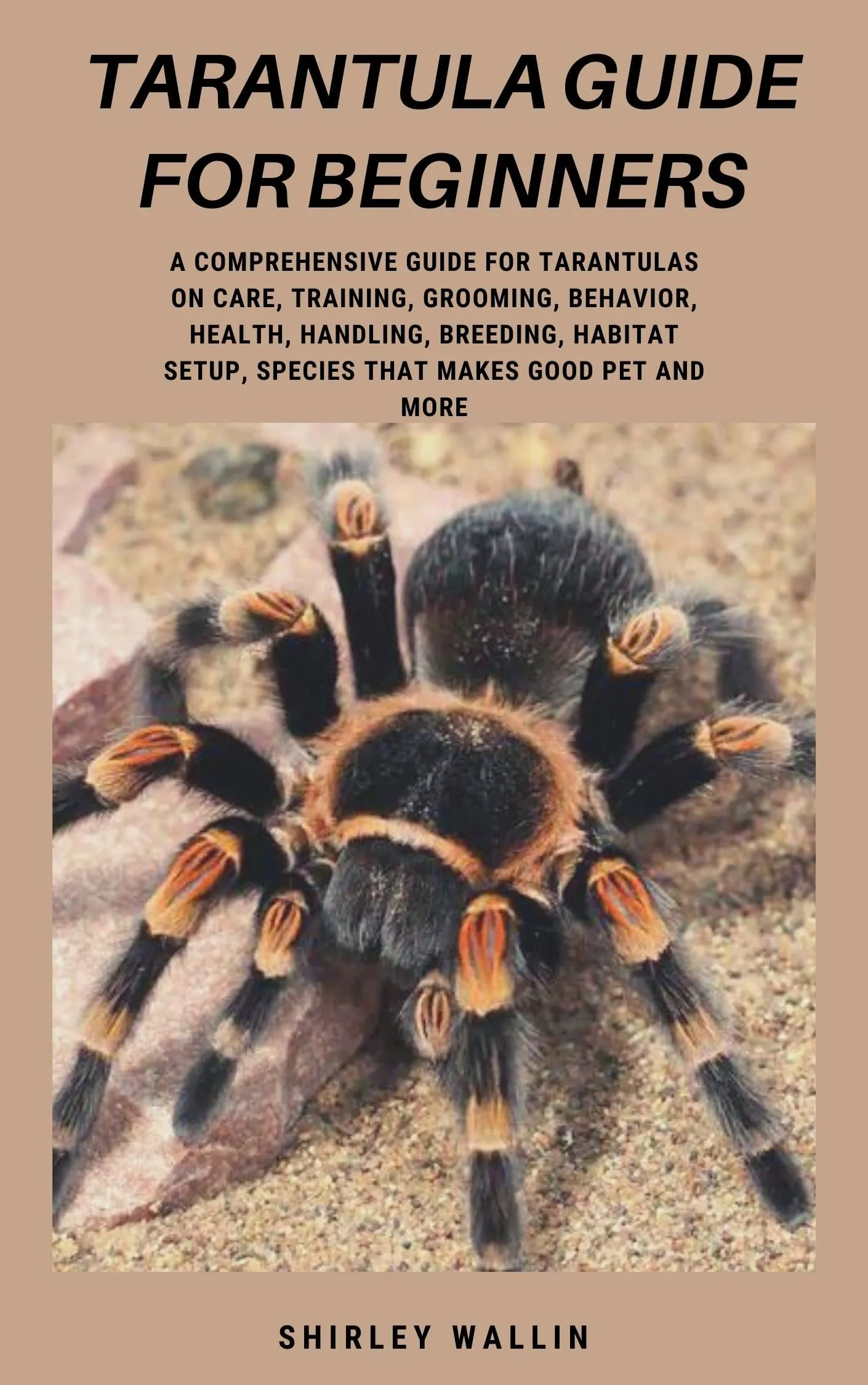 17936 dwarf tarantula handling