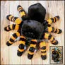 17942 sewing tarantula body