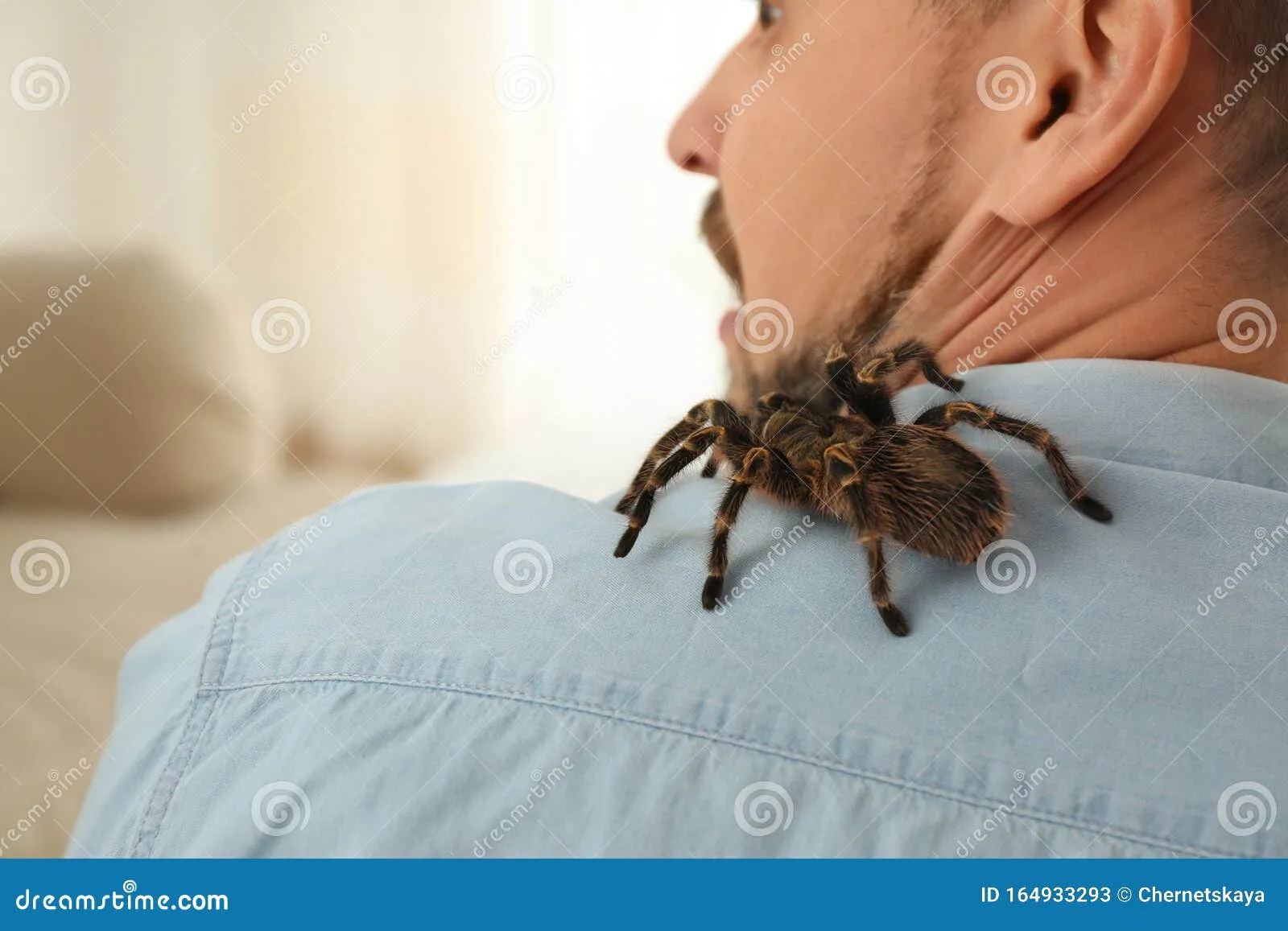 17948 tarantula fear image1