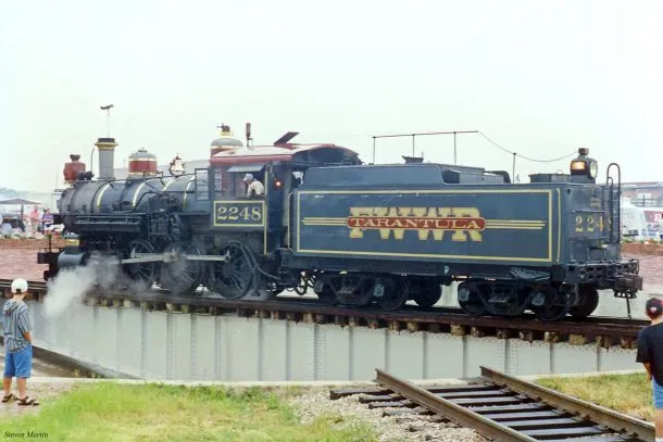 17955 tarantula behavior