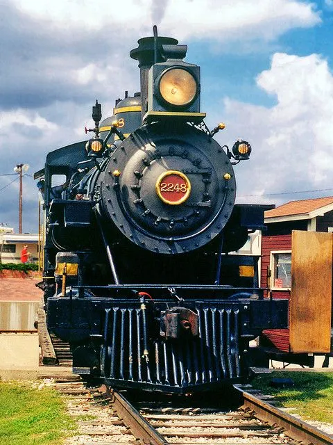 17955 tarantula enclosure