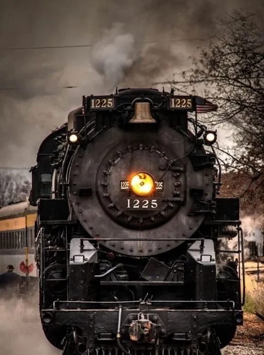 17955 tarantula tools