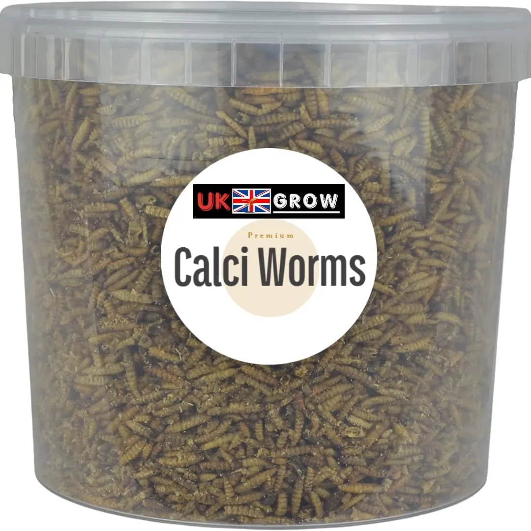 17961 calci worms tarantula 3