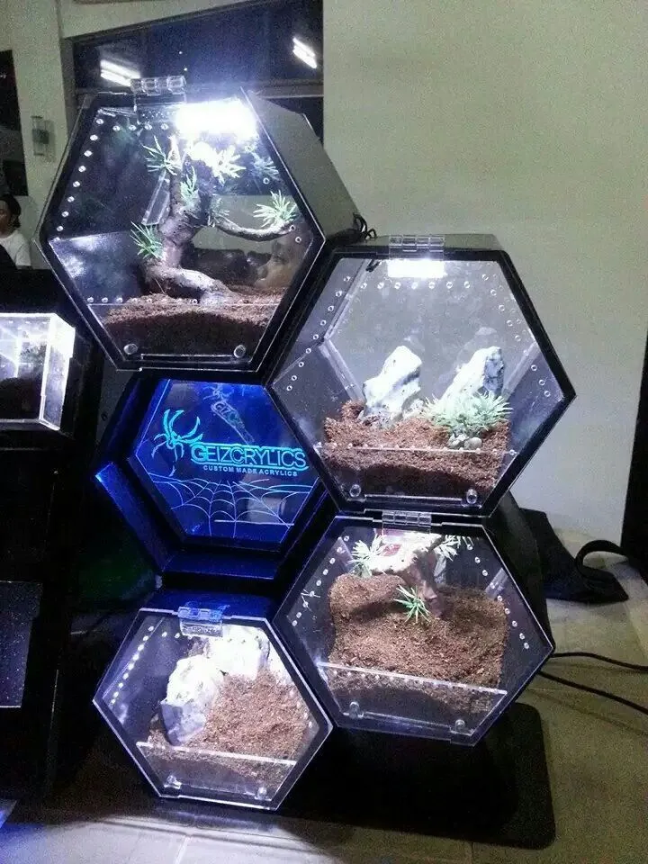 17962 tarantula enclosure overview