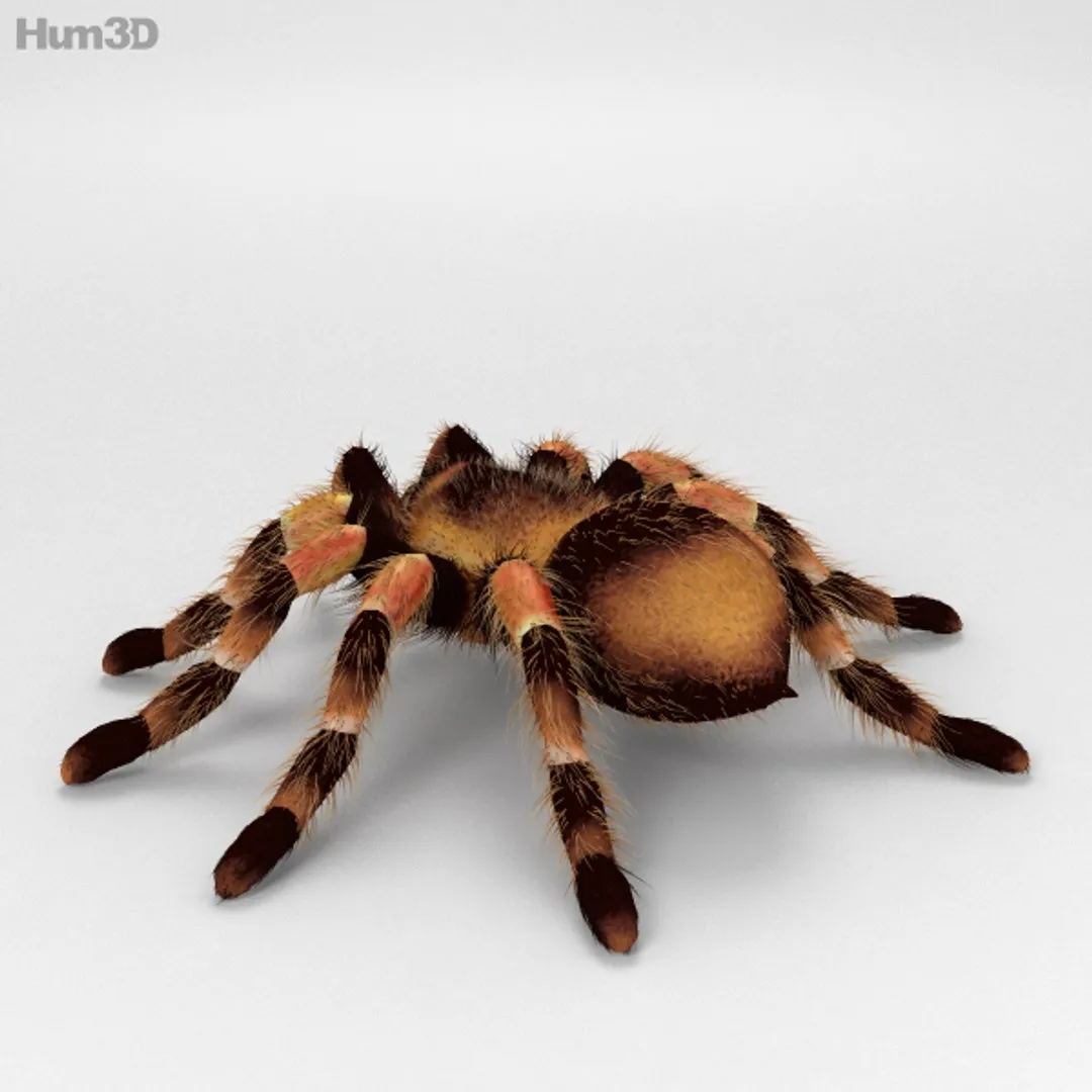 /img/17963-accessories-weapons-tarantula-armor.webp