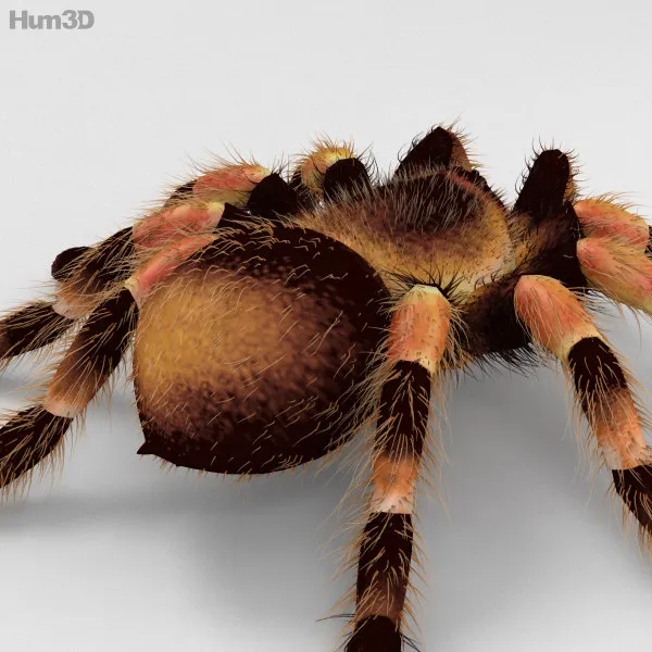 17963 spider slayer tasks