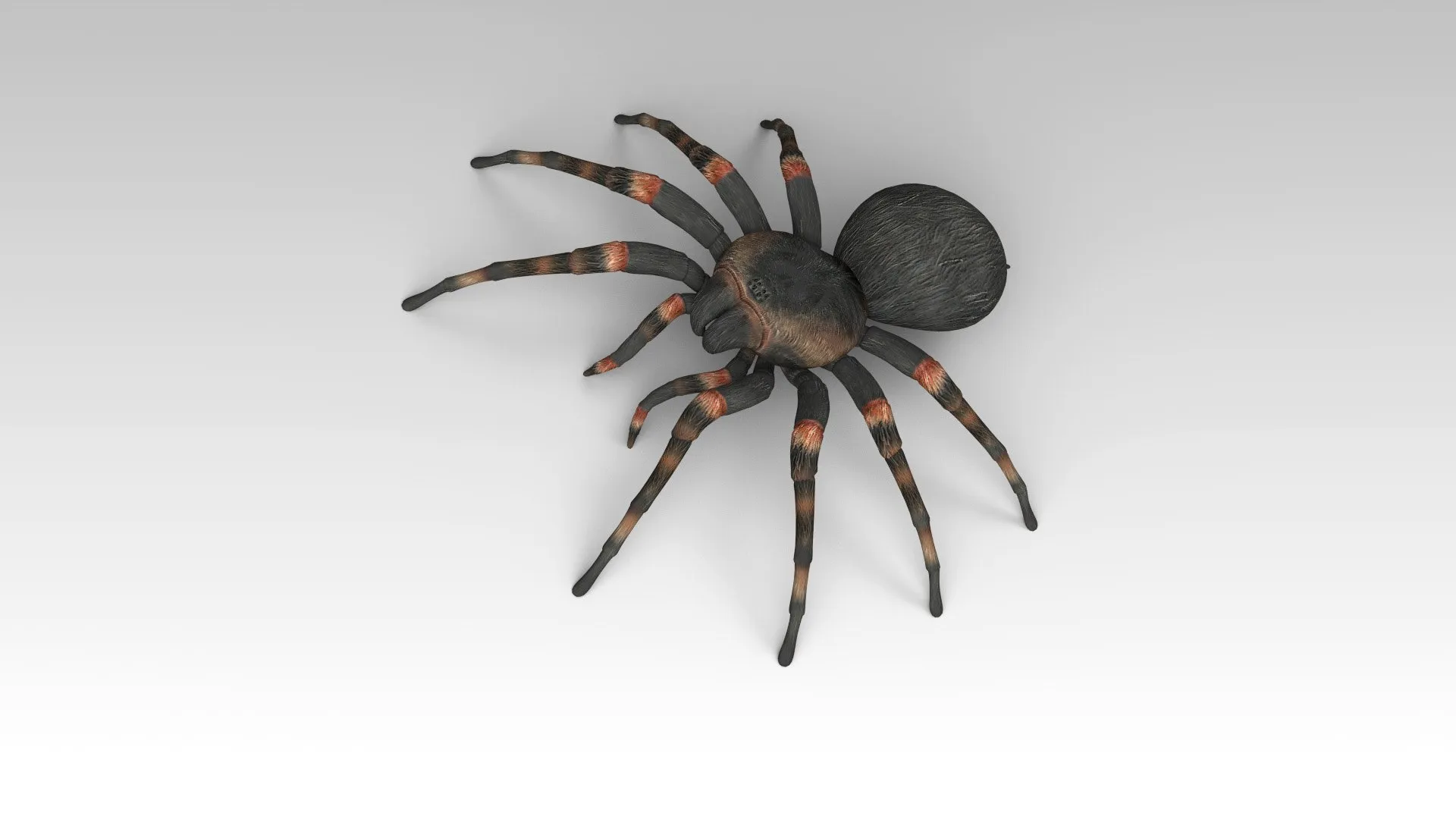 17963 tarantula armor stats