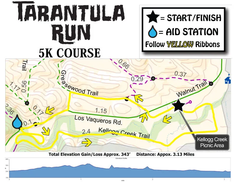 17965 tarantula 100 desert race overview