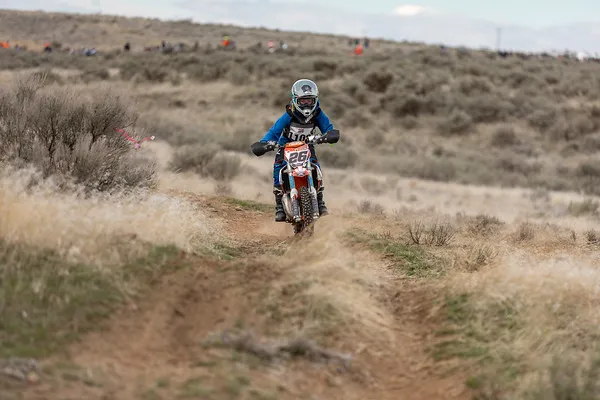 17965 tarantula 100 footwear