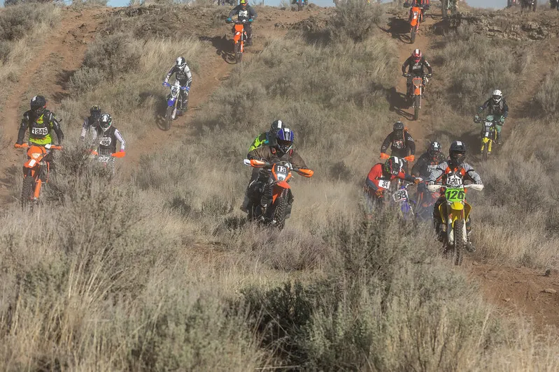 17965 tarantula 100 training plan