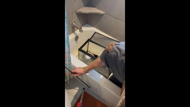 17972 lost lake environment