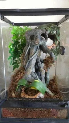 17994 tarantula hide and decor