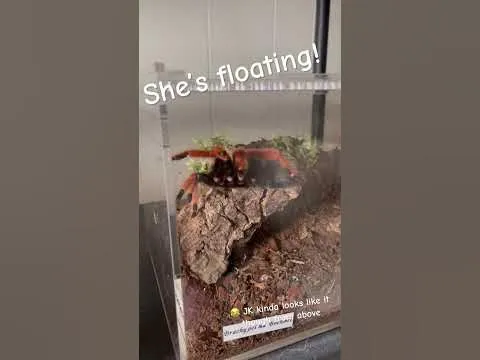 18000 tarantula float stability