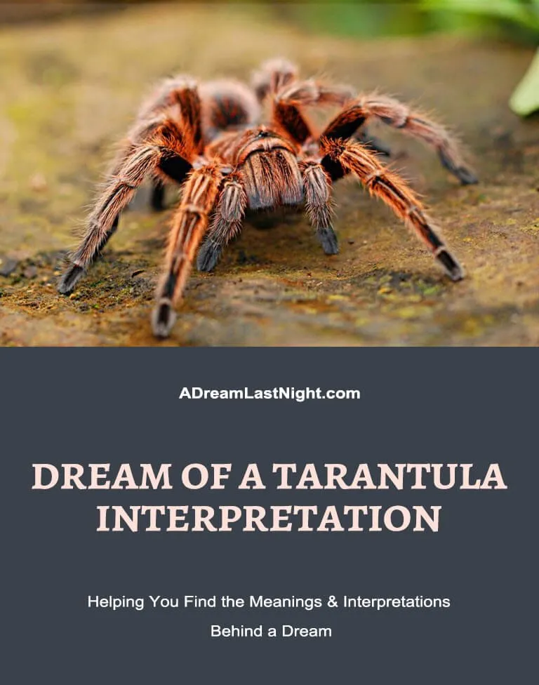 18005 interpret tarantula dream