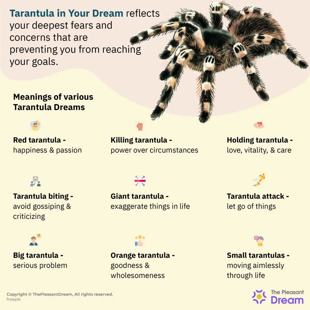 18005 tarantula dream change