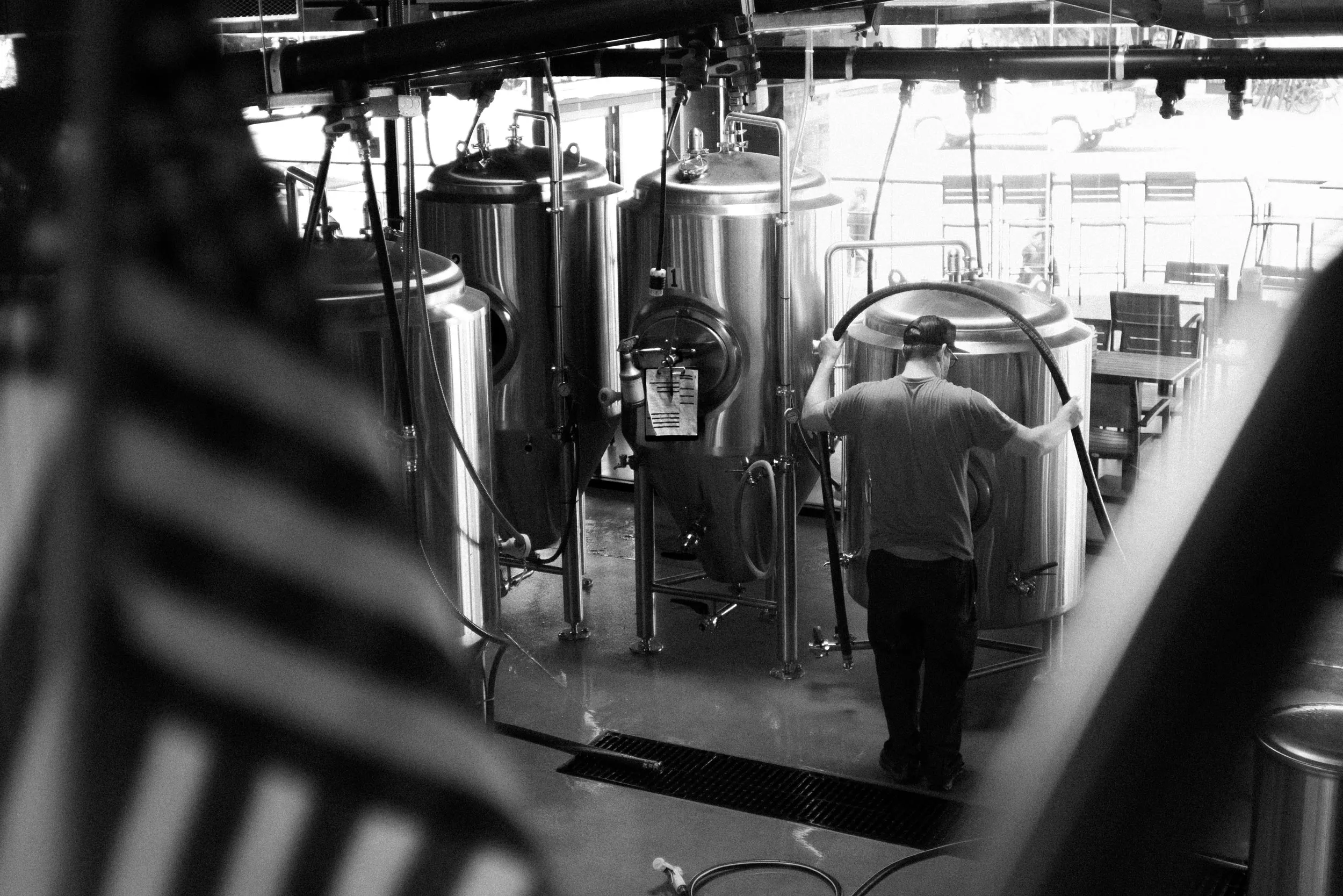 18026 tarantula hill west coast ipa