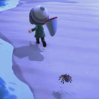 /img/18037-animal-crossing-tarantula-selling.webp