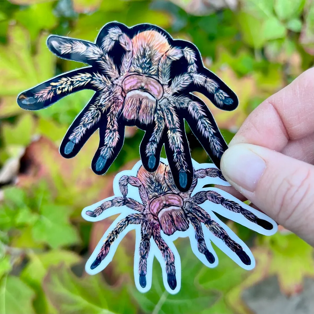 18040 leaf litter substrate