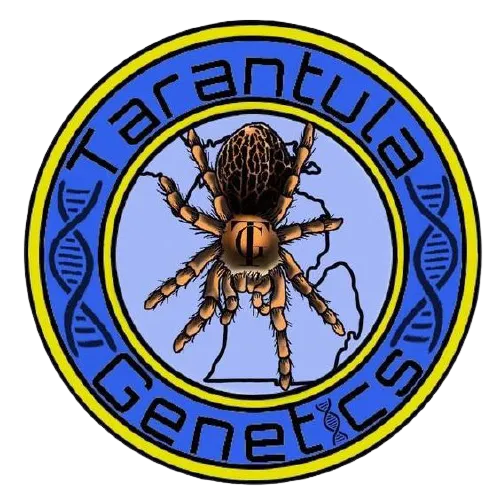 18042 tarantula species diversity