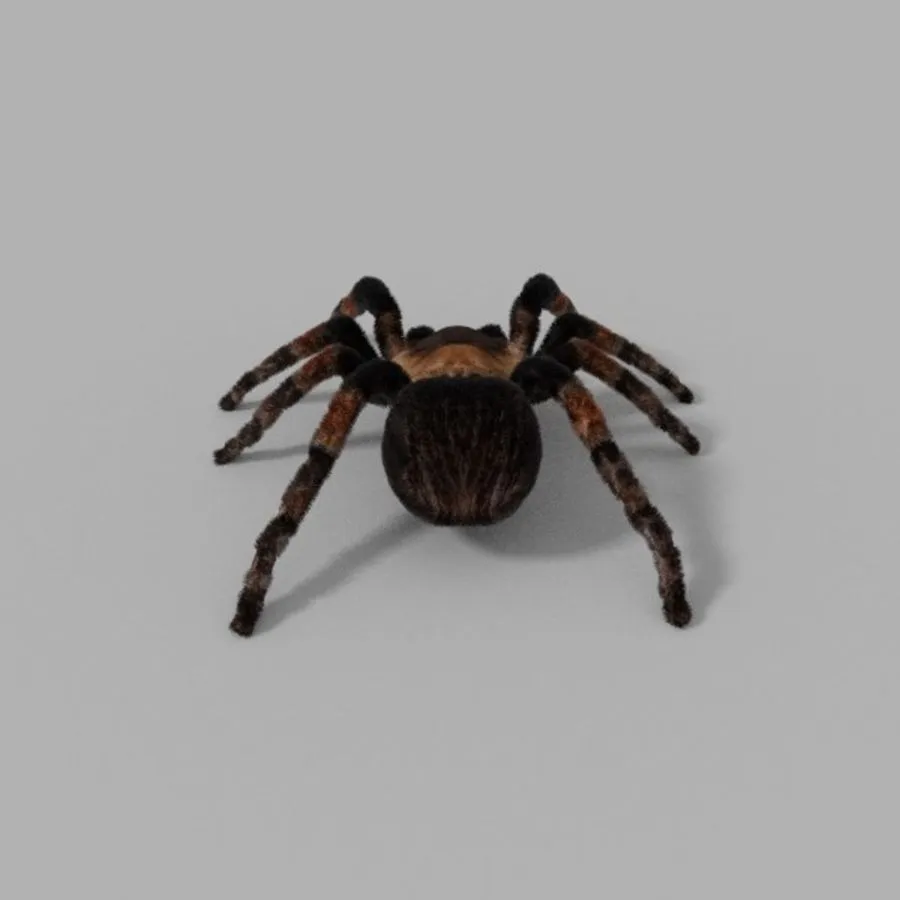 18057 tarantula 3d model applications