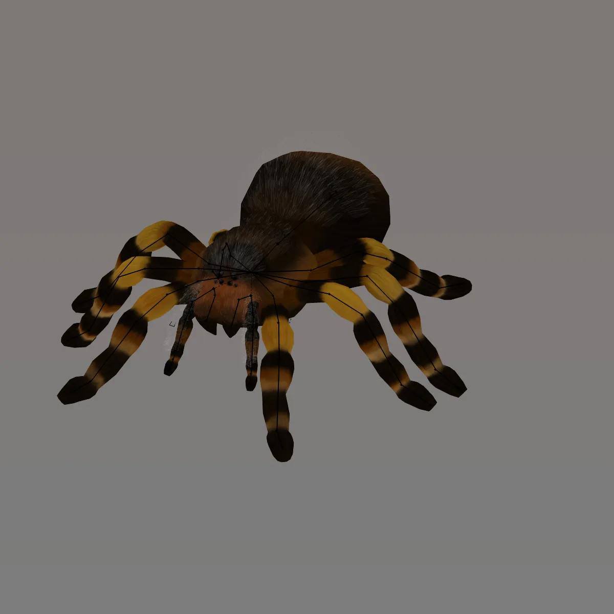18057 tarantula 3d model download