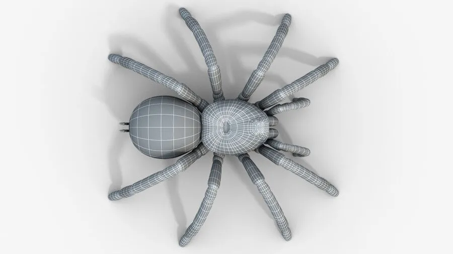 /img/18057-tarantula-3d-model-pose.webp