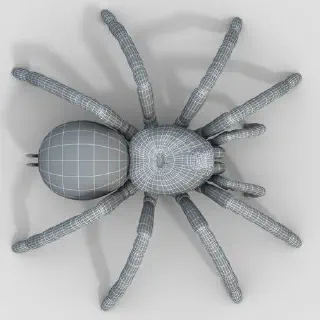 /img/18057-tarantula-3d-model-pose.webp