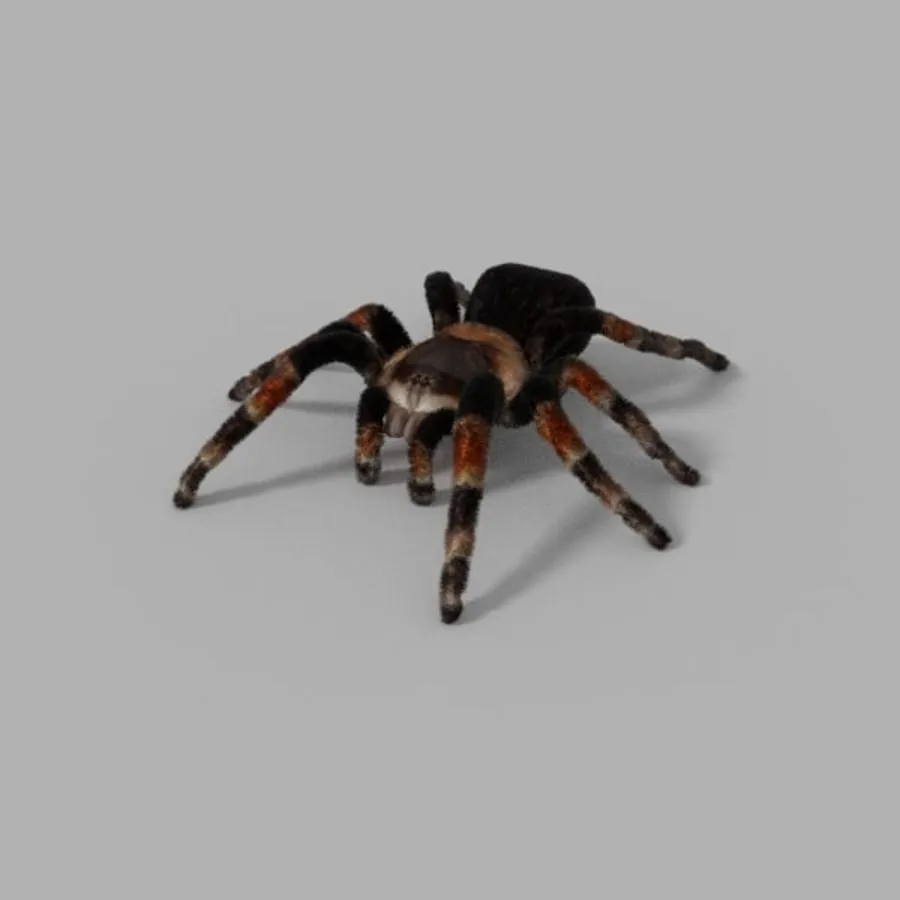 18057 tarantula 3d model software