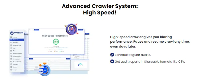 18058 testia tarantula handling